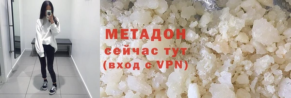 прущие грибы Арсеньев