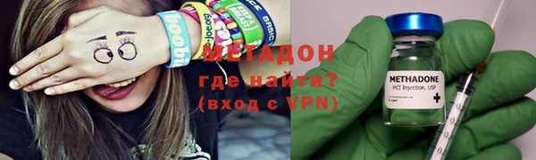 прущие грибы Арсеньев