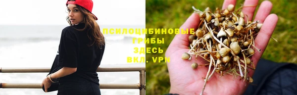 ALPHA PVP Алексин