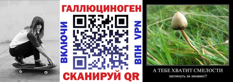 Галлюциногенные грибы прущие грибы  Богучар 